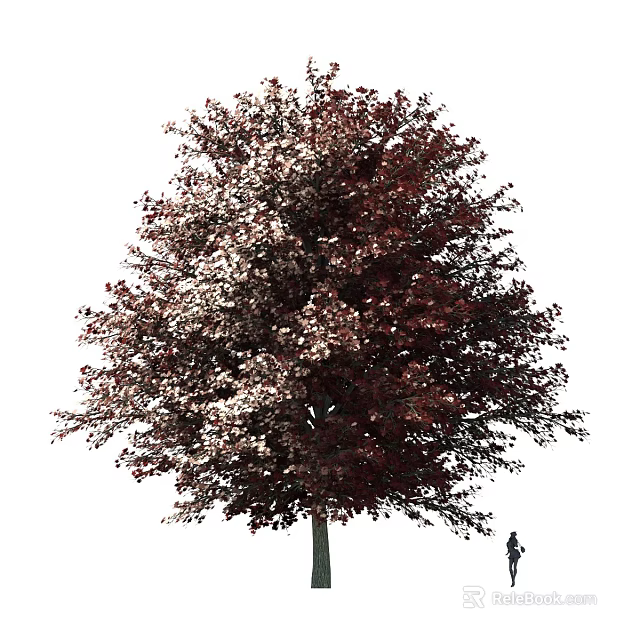 Tall Lush Arbor With Red And White Foliage In Natural Growth 3d model 