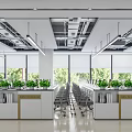 Elegant Modern Office Interior With Reception Desk Hanging Lamps And Decorative Plants