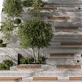 Modern Outdoor Concrete Staircase With Trees Greenery And Wooden Steps