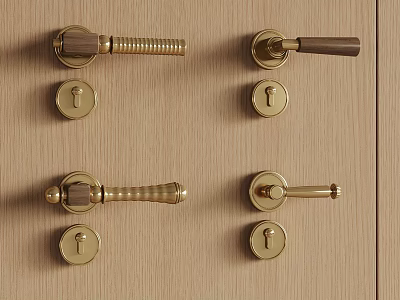 Vintage Brass Door Handles With Keyholes On Wooden Panel Surface 3d model