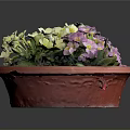 Vibrant Yellow and Purple Flowers in Red Pot with Lush Green Leaves