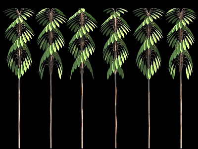 Multiple Green Plants With Pinnate Leaves And Slender Stems On Black Background 3d model