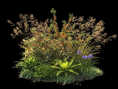 Garden Shrub With Various Herbs Purple Flowers And Green Leaves In Natural Landscape 3d model