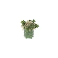 Decorative Ornament Set With Transparent Glass Vase White Green Flowers And Grass