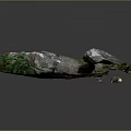 Wood and Stone Materials Natural Decorative Landscape with Moss Ferns and Earthy Ground