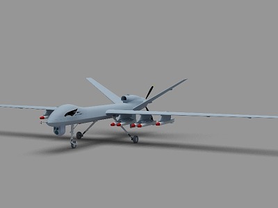 Pterosaur II UAV Pterosaur China UAV Pterosaur II UAV Observation and Hit Integrated UAV 3d model