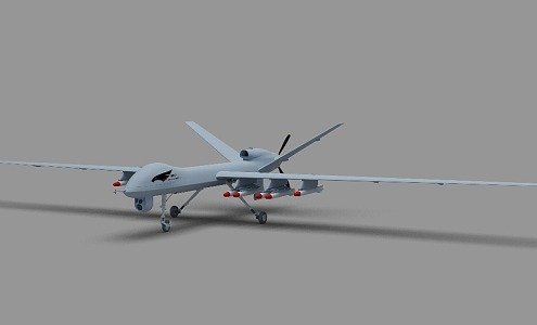 Pterosaur II UAV Pterosaur China UAV Pterosaur II UAV Observation and Hit Integrated UAV 3d model