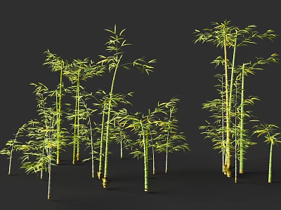 Lush Green Bamboo Plants With Tall Stems And Fresh Leaves In Group 3d model