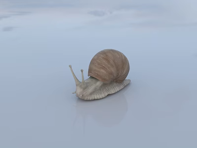 Brown Shelled Reptile Crawling On Smooth White Surface With Reflection 3d model