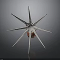 Unique Starfish With Multiple Spikes And Red Center On Dark Background