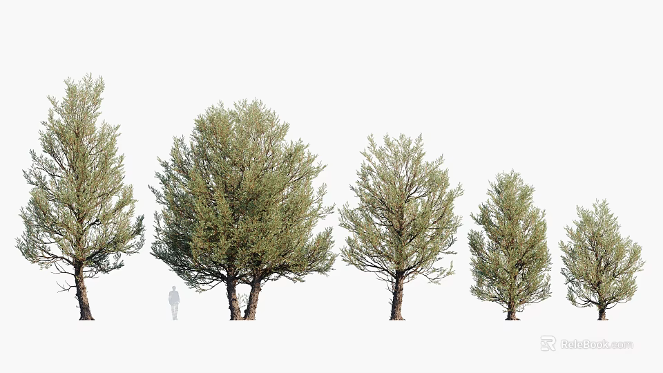 Arbor Trees In Various Sizes With Human Figure And Green Foliage 3d model 