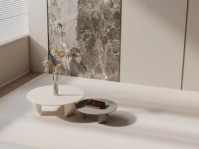 Elegant Modern Sofa Coffee Table Set With Round White Tables Vase Flowers And Marble Wall 3d model