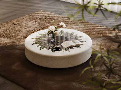 Round White Coffee Table With Flower Book Leaf Pattern On Brown Rug With Plants 3d model