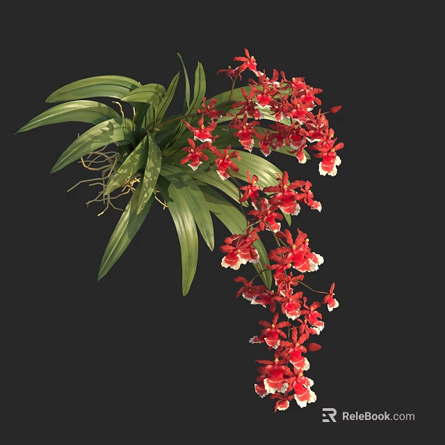 Vibrant Red Orchid With Lush Green Leaves And Hanging Tropical Flowers 3d model 