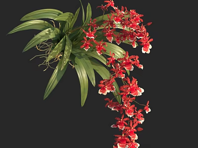 Vibrant Red Orchid With Lush Green Leaves And Hanging Tropical Flowers 3d model