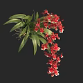 Vibrant Red Orchid With Lush Green Leaves And Hanging Tropical Flowers