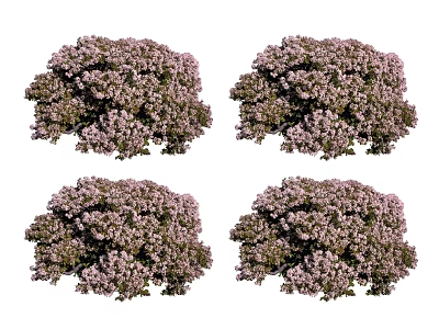 Modern flowers flowers and plants 3d model