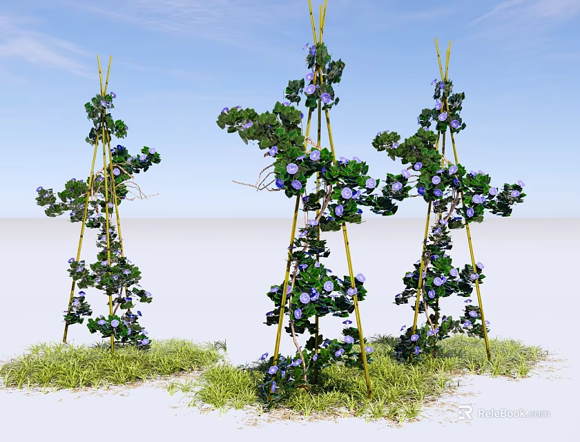 Climbing Plants With Purple Flowers On Bamboo Frames Over Green Grass And Blue Sky 3d model 