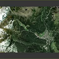 Realistic 3D Topographic Model Showcasing Green Mountain Landscape Wooden Base And Vegetation Details