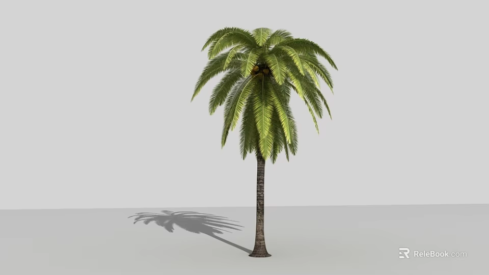 Tall Palm Tree With Green Fronds And Brown Trunk On Neutral Gray Background 3d model 
