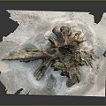 Detailed Rocky Terrain 3D Model With Root like Features Green Vegetation And Snowy Surface