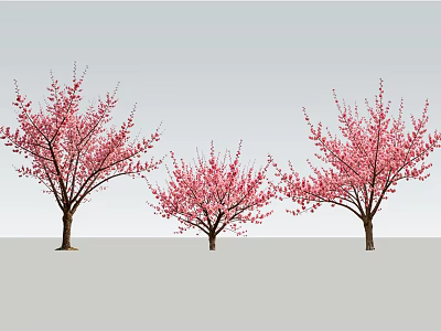 Three Flowering Arbor Trees With Pink Blossoms Against Gray Background 3d model