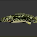Prehistoric Aquatic Reptile 3D Model With Green Yellow Spotted Skin Flipper Limbs And Serrated Dorsal Fin