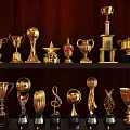 Elegant Golden Trophy Collection With Various Designs Displayed On Dark Wooden Shelves