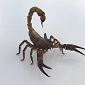 Brown Reptile Scorpion With Large Pincers Curved Tail And Detailed Body View