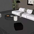 Modern Living Room Interior With White Sofa Pillows Round Coffee Table Rug And Green Plant