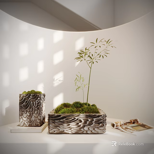 Bonsai Plants In Decorative Wavy Texture Pots With Moss And Bamboo On White Tabletop Background 3d model 