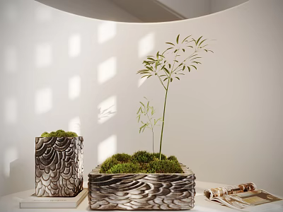 Bonsai Plants In Decorative Wavy Texture Pots With Moss And Bamboo On White Tabletop Background 3d model
