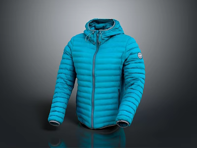 Blue Hooded Puffer Jacket With Lightweight Design Front Zipper And Logo 3d model