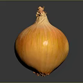 Fresh Golden Yellow Onion With Shiny Smooth Surface Isolated On Black Background