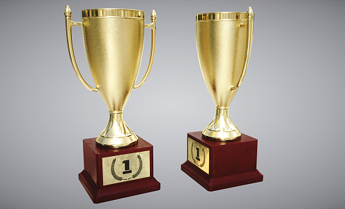 Modern Trophy Cup 3d model