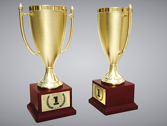 Modern Trophy Cup 3d model