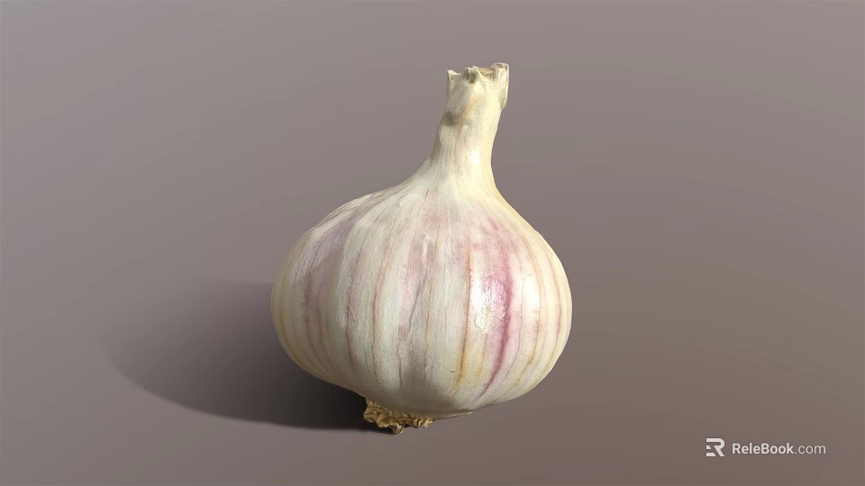 Fresh Organic Garlic Bulb with White and Purple Stripes on Gray Background 3d model 