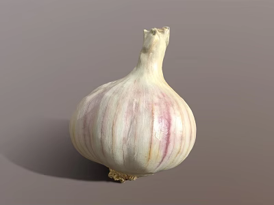 Fresh Organic Garlic Bulb with White and Purple Stripes on Gray Background 3d model Fresh Organic Garlic Bulb with White and Purple Stripes on Gray Background 3d model