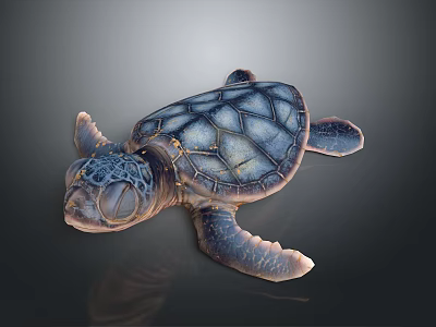 Cute Baby Sea Turtle With Blue Gray Shell Swimming In Ocean Water 3d model