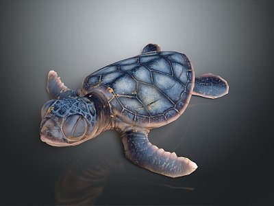 Modern Turtle Small Turtle Green Turtle Big Turtle Black Turtle 3d model