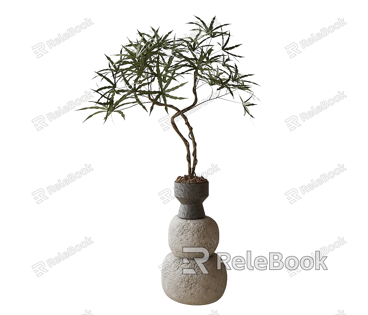 Potted Bonsai Green Plant Ornaments model