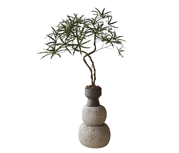 Potted Bonsai Green Plant Ornaments 3d model