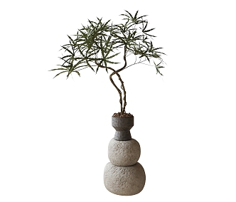 Potted Bonsai Green Plant Ornaments 3d model