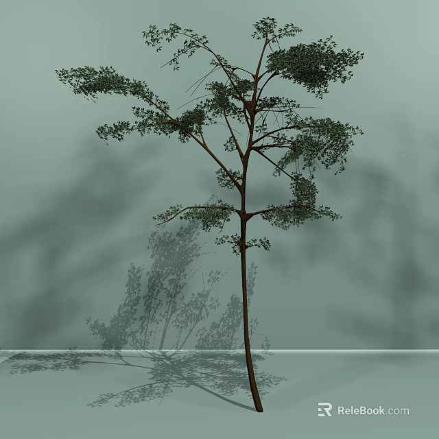 Tall Arbor With Lush Green Leaves Brown Trunk Casting Shadow On Simple Background 3d model 