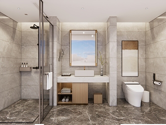 Modern Hotel Toilet 3d model