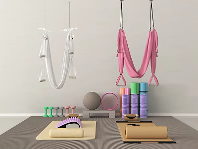 Public Yoga Fitness Facility With Hammocks Mats Dumbbells And Exercise Balls 3d model