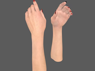Human Hands With Red Nail Polish Fingers Spread Palm Up And Left On Gray Background 3d model