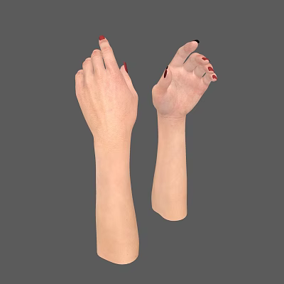 Human Hands With Red Nail Polish Fingers Spread Palm Up And Left On Gray Background 3d model