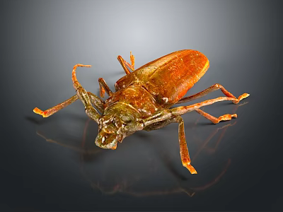 Reddish Brown Beetle With Long Antennae And Orange Legs On Dark Background 3d model