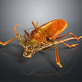 Reddish Brown Beetle With Long Antennae And Orange Legs On Dark Background